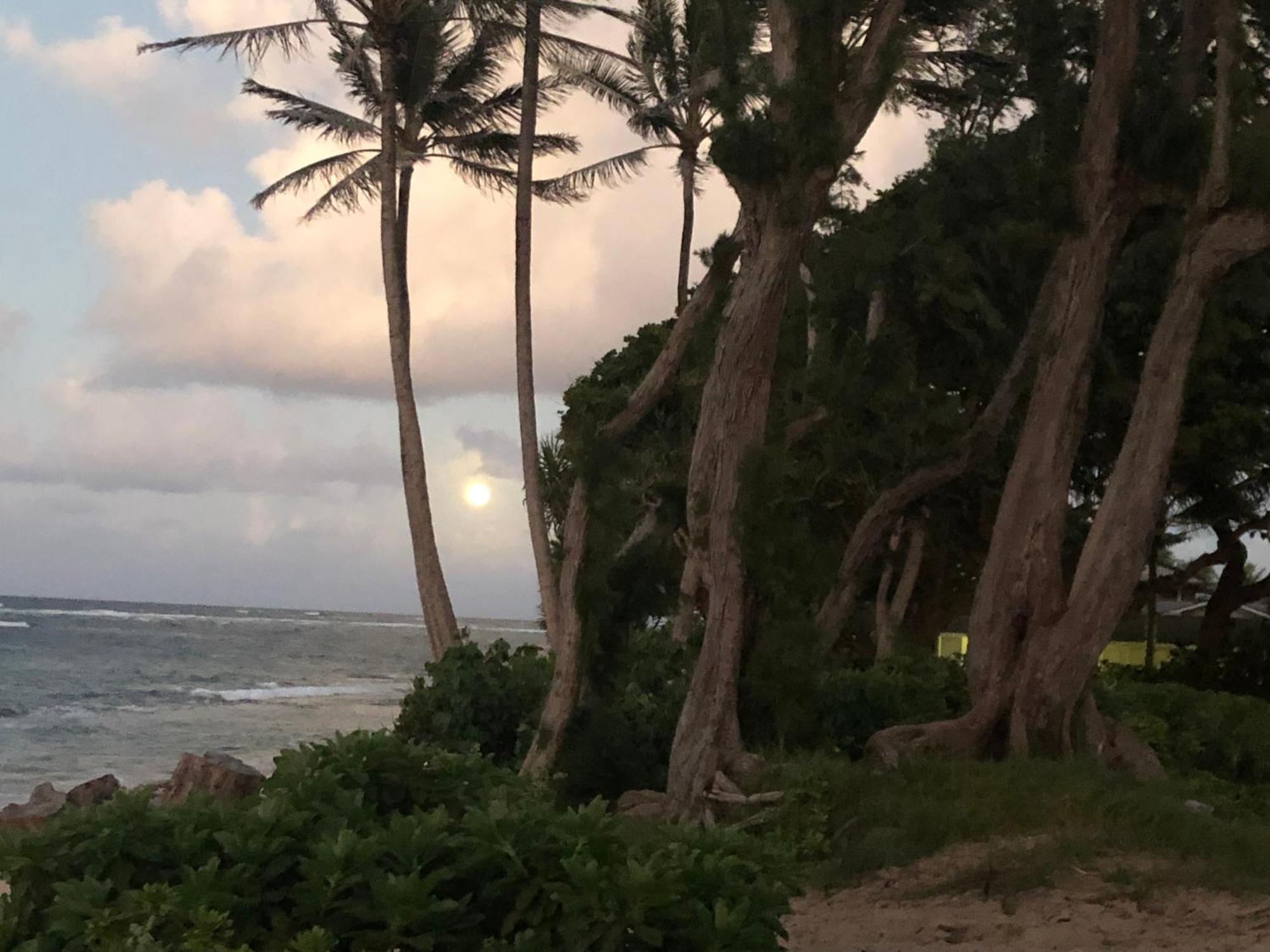 Tropical Treasure On A White Sandy Beach Βίλα Laie Εξωτερικό φωτογραφία